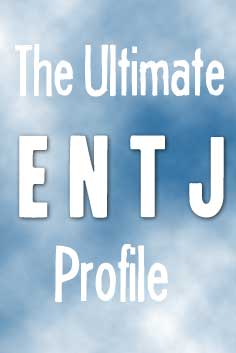 Personality Type: ENTJ [The Fieldmarshal]